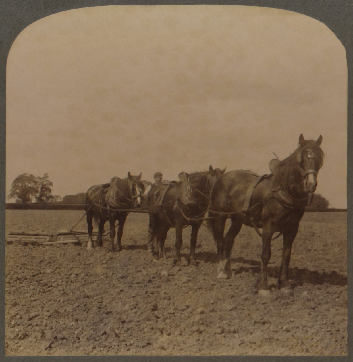 Rolnictwo w Anglii - Harrowing the Land, 1909. autorstwa Unbekannt