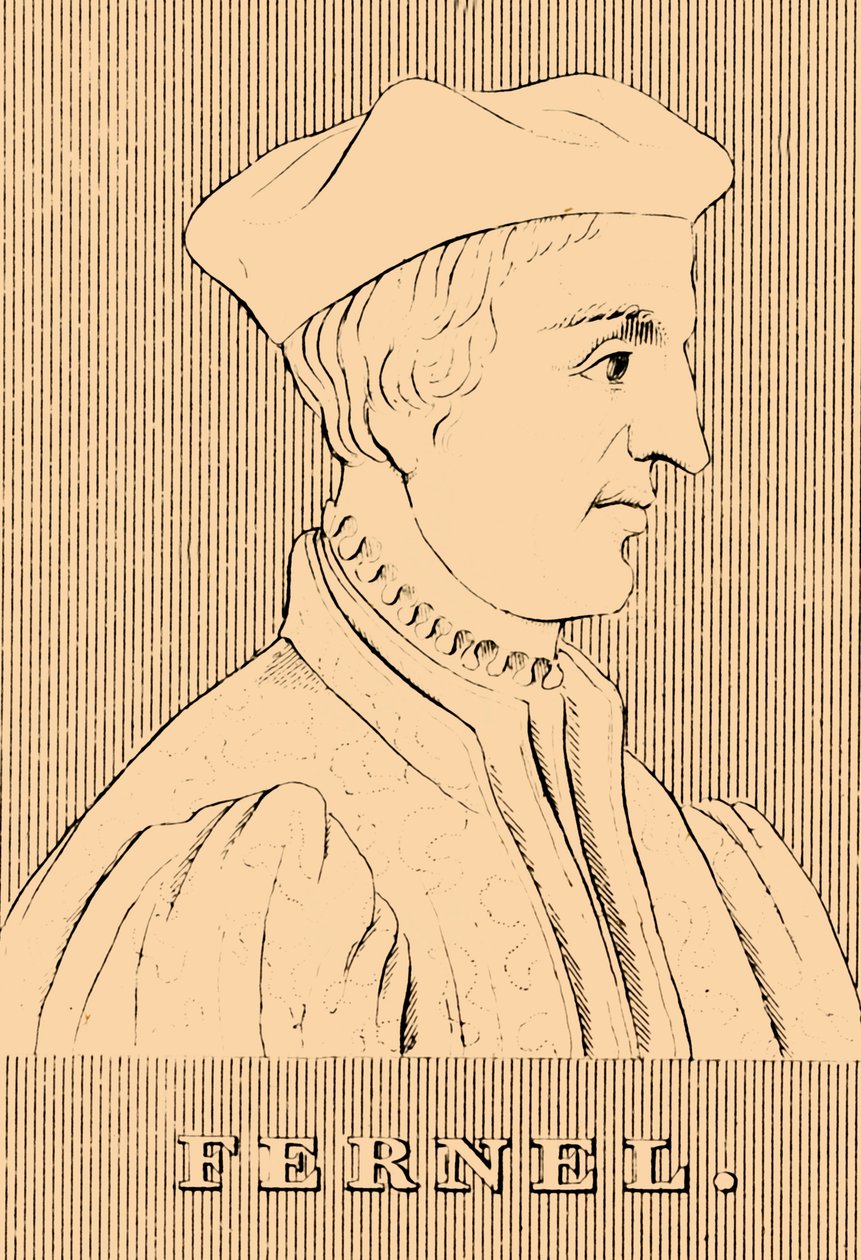 Paproć, 1497-1558, 1830. autorstwa Unbekannt