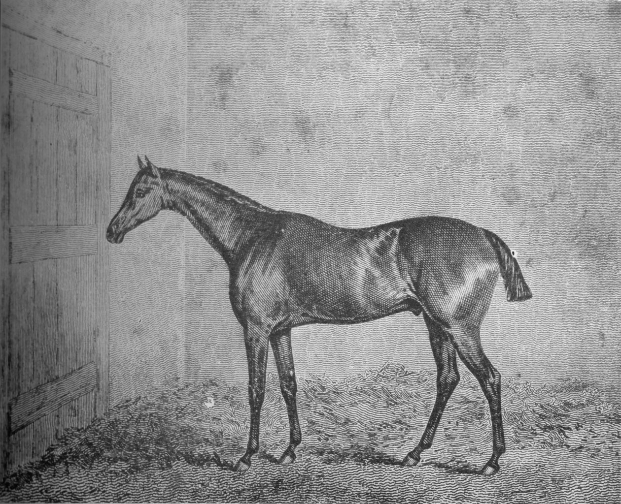 Fryderyk, 1826-1837, 1911 autorstwa Unbekannt