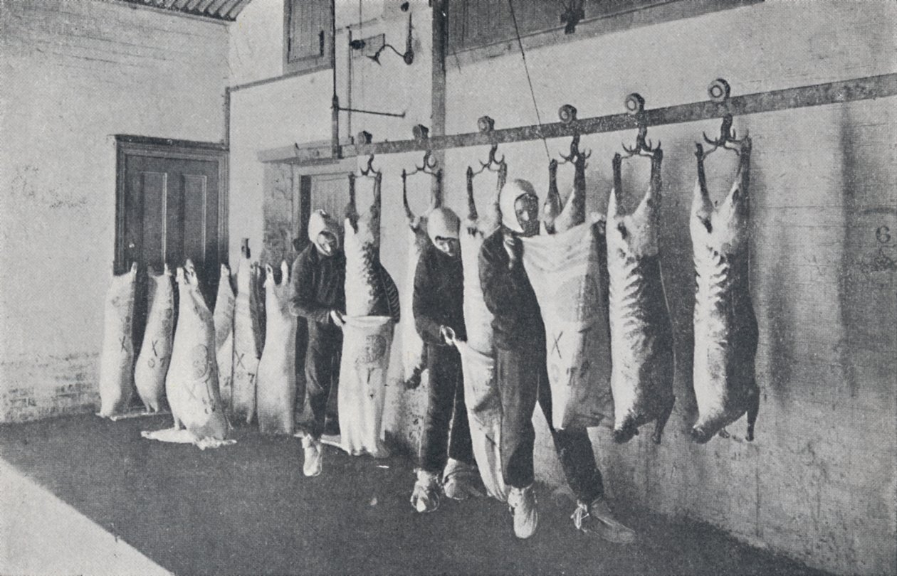 Mięso mrożone, 1923. autorstwa Unbekannt