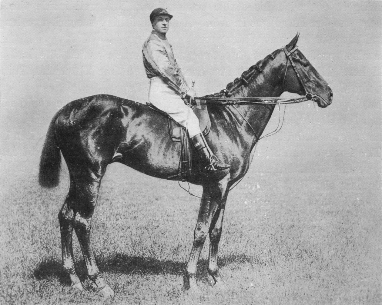 Galtee Więcej, 1894-1917, 1911 autorstwa Unbekannt