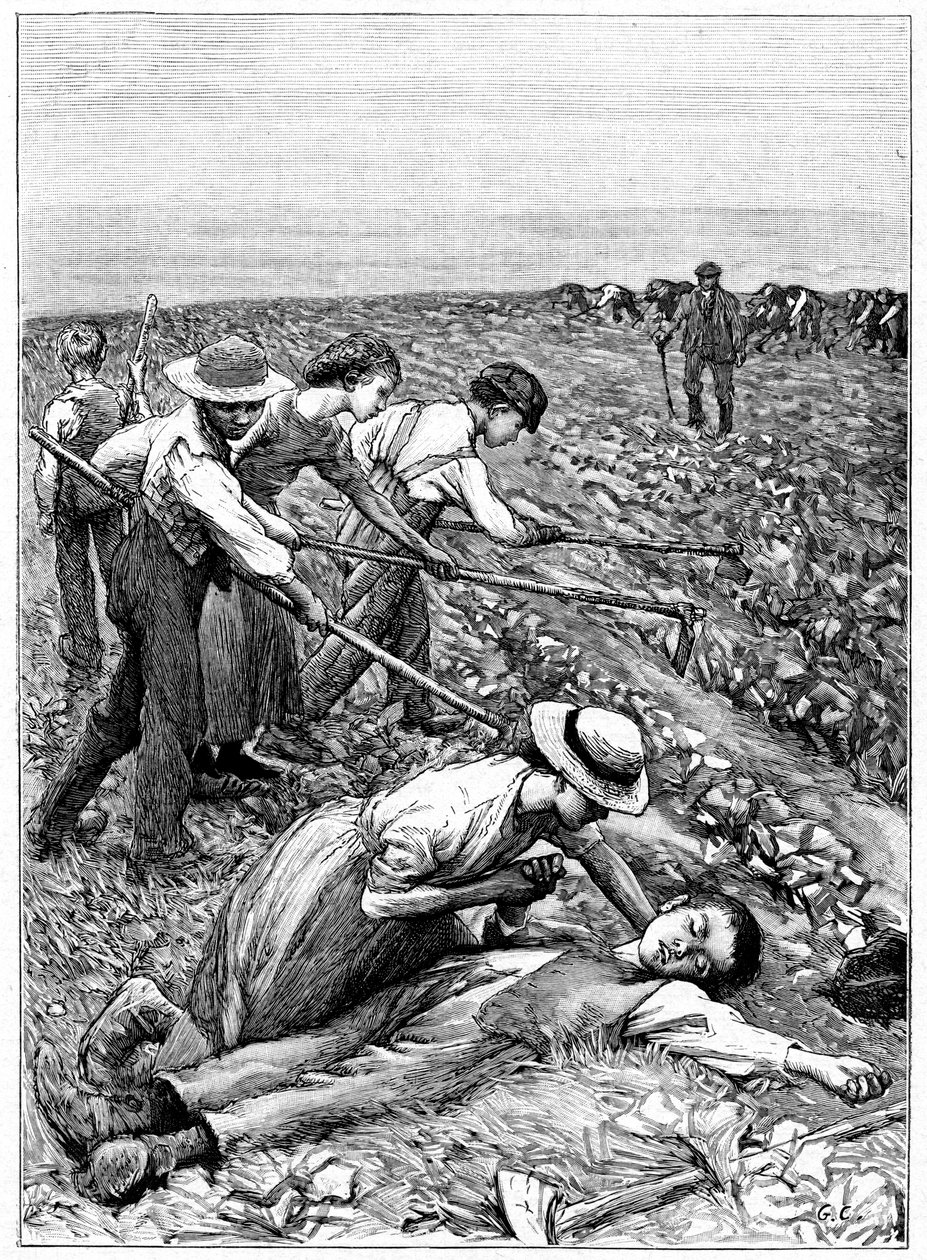 Gangowy system pracy dzieci, ok. 1885 r. autorstwa Unbekannt