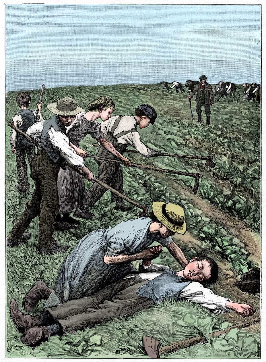 Gangowy system pracy dzieci, ok. 1885 r. autorstwa Unbekannt