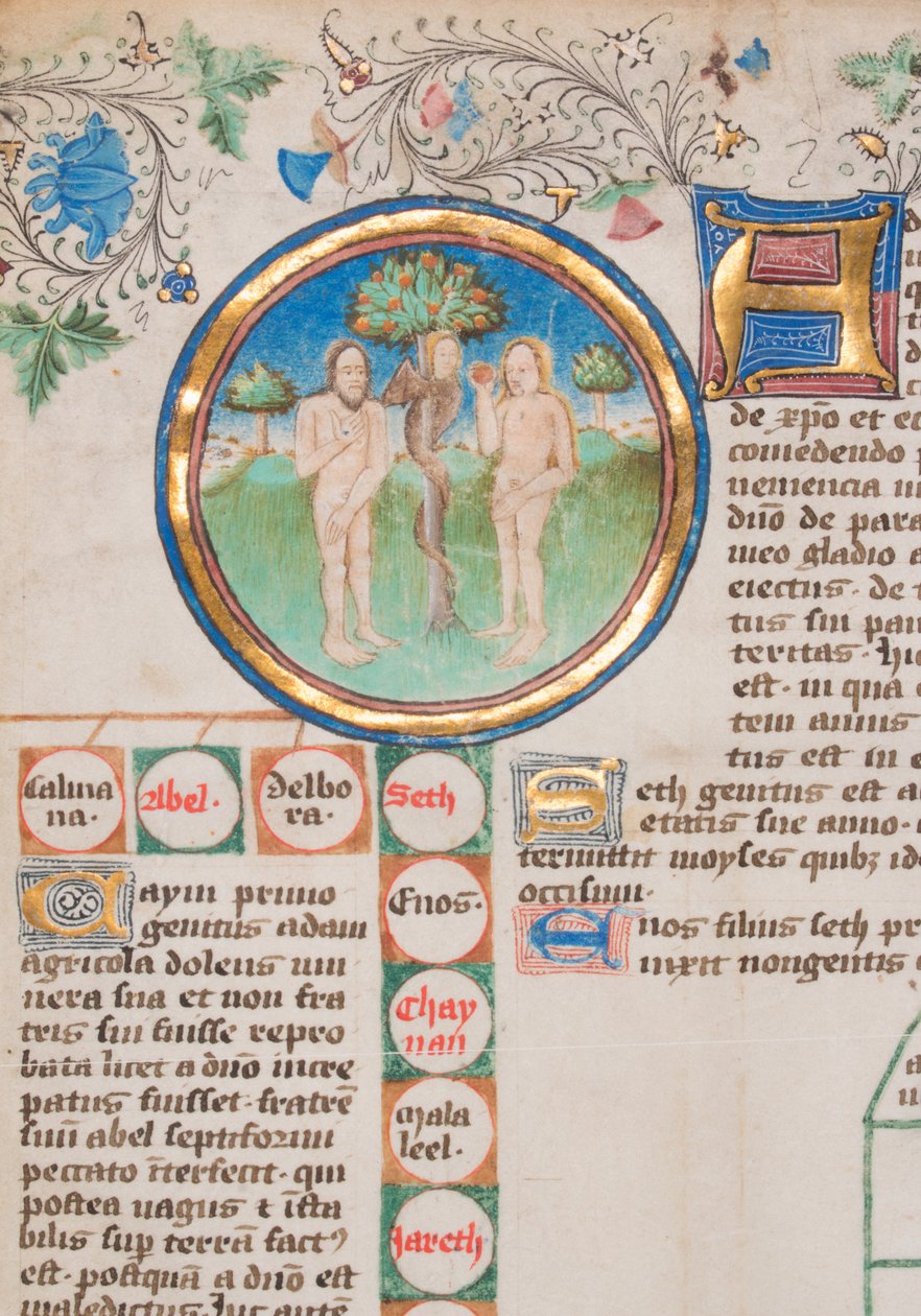 Kronika genealogiczna królów Anglii, 1466-67. autorstwa Unbekannt