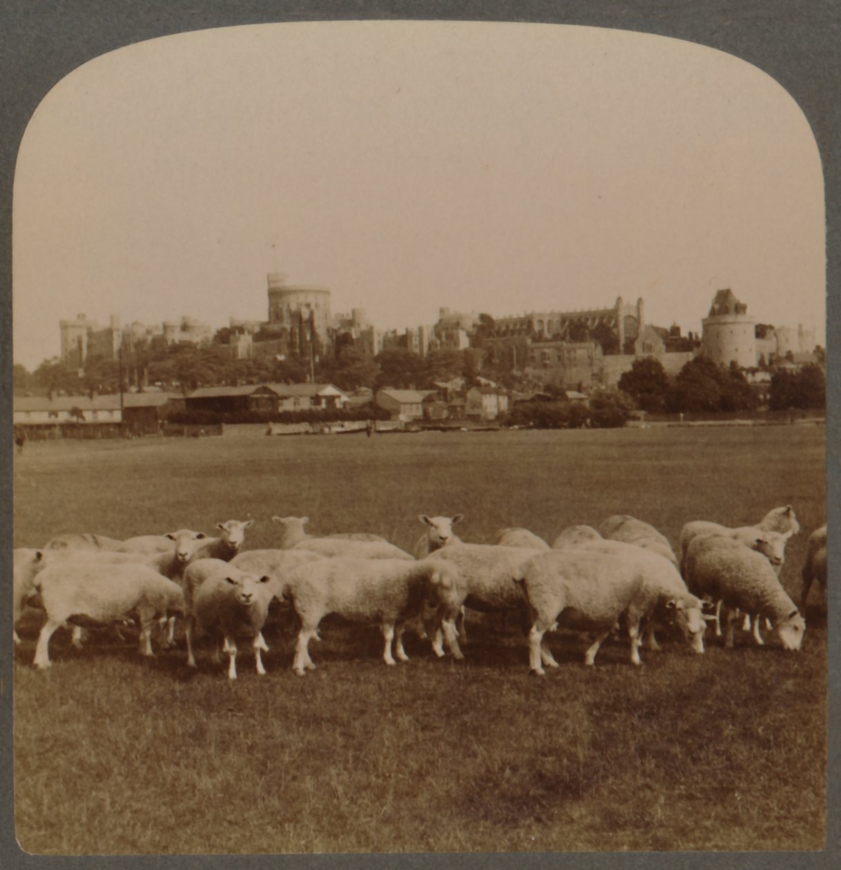 Widok ogólny Zamek Windsor, Anglia, 1896 r. autorstwa Unbekannt