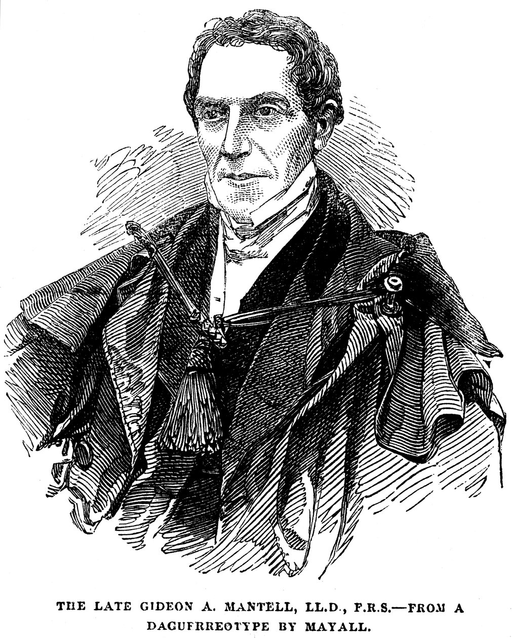 Gideon Algernon Mantell, angielski geolog, 1852 autorstwa Unbekannt
