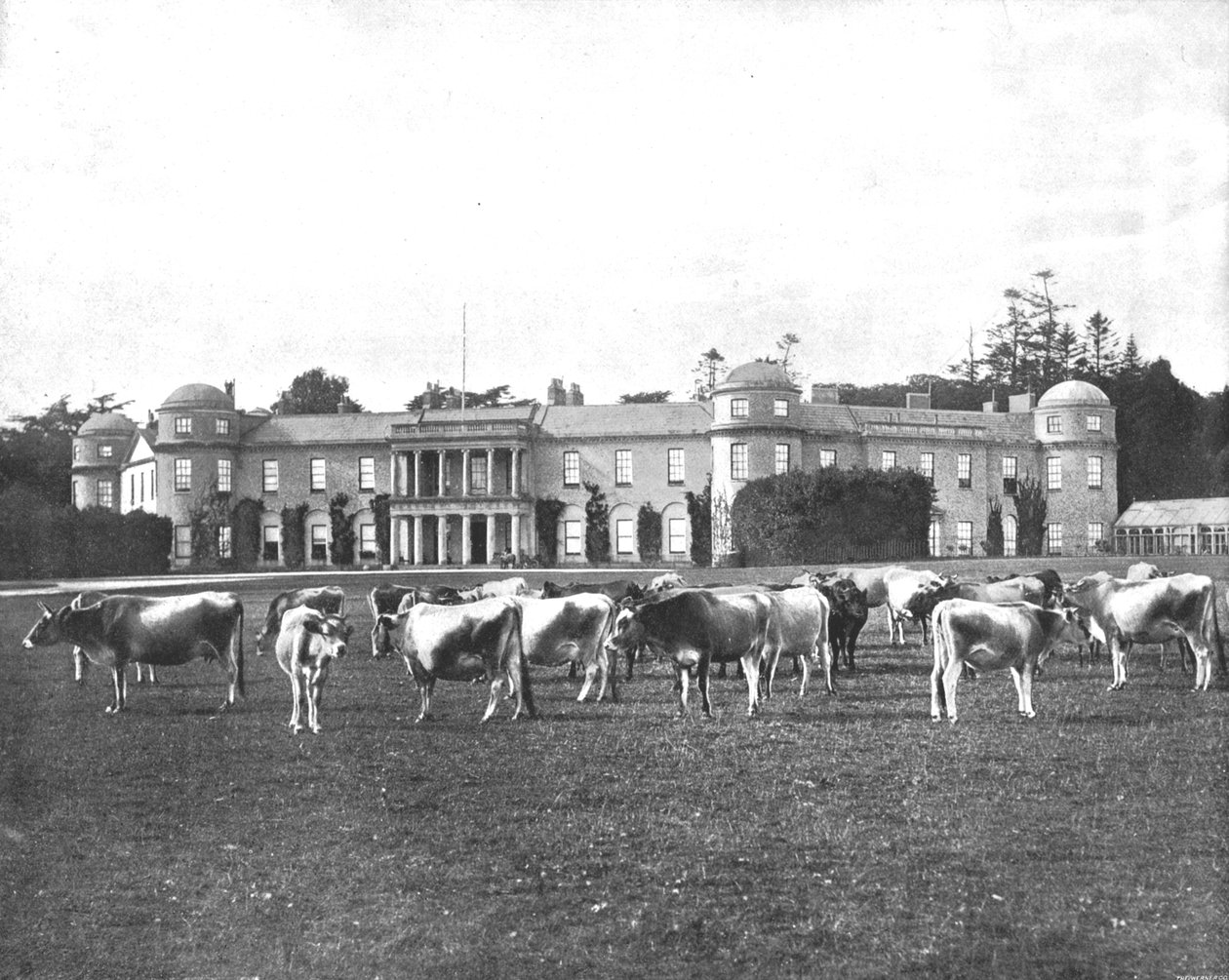 Goodwood, Hampshire, 1894. autorstwa Unbekannt