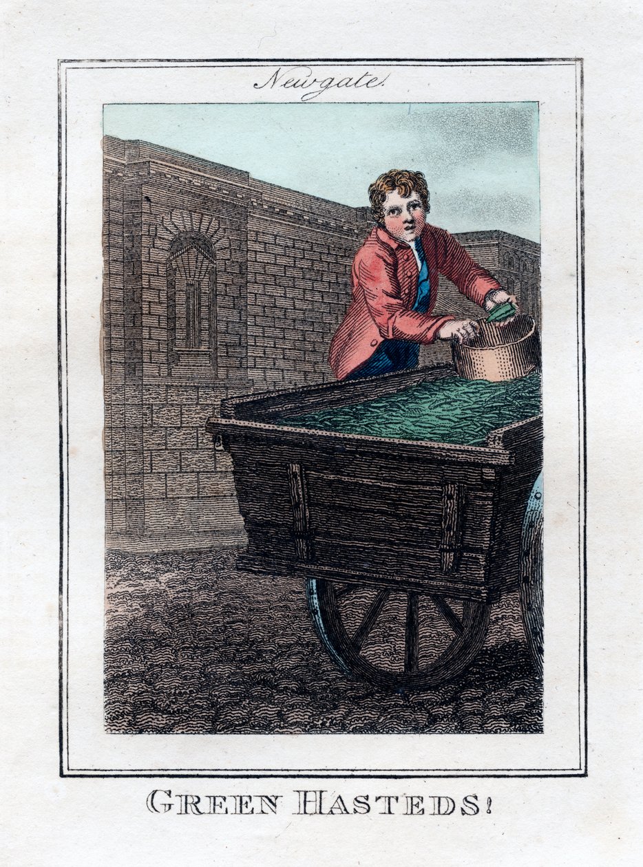 Green Hasteds, Newgate, Londyn, 1805 autorstwa Unbekannt