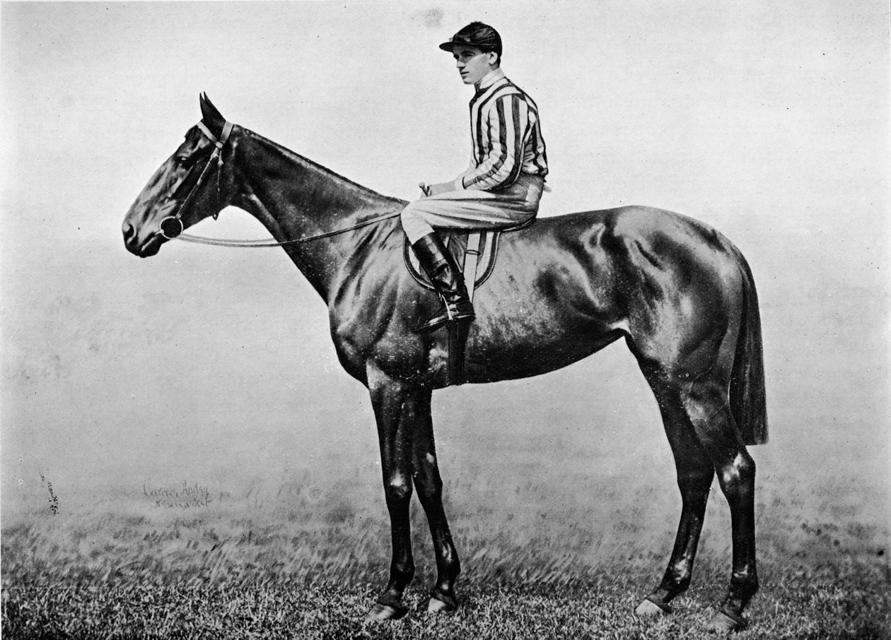 Hakers Pride, c1860, 1911 autorstwa Unbekannt