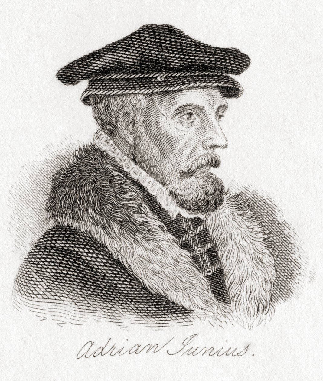 Hadrianus Junius, 1511-1575, vel Adriaen de Jonghe. autorstwa Unbekannt