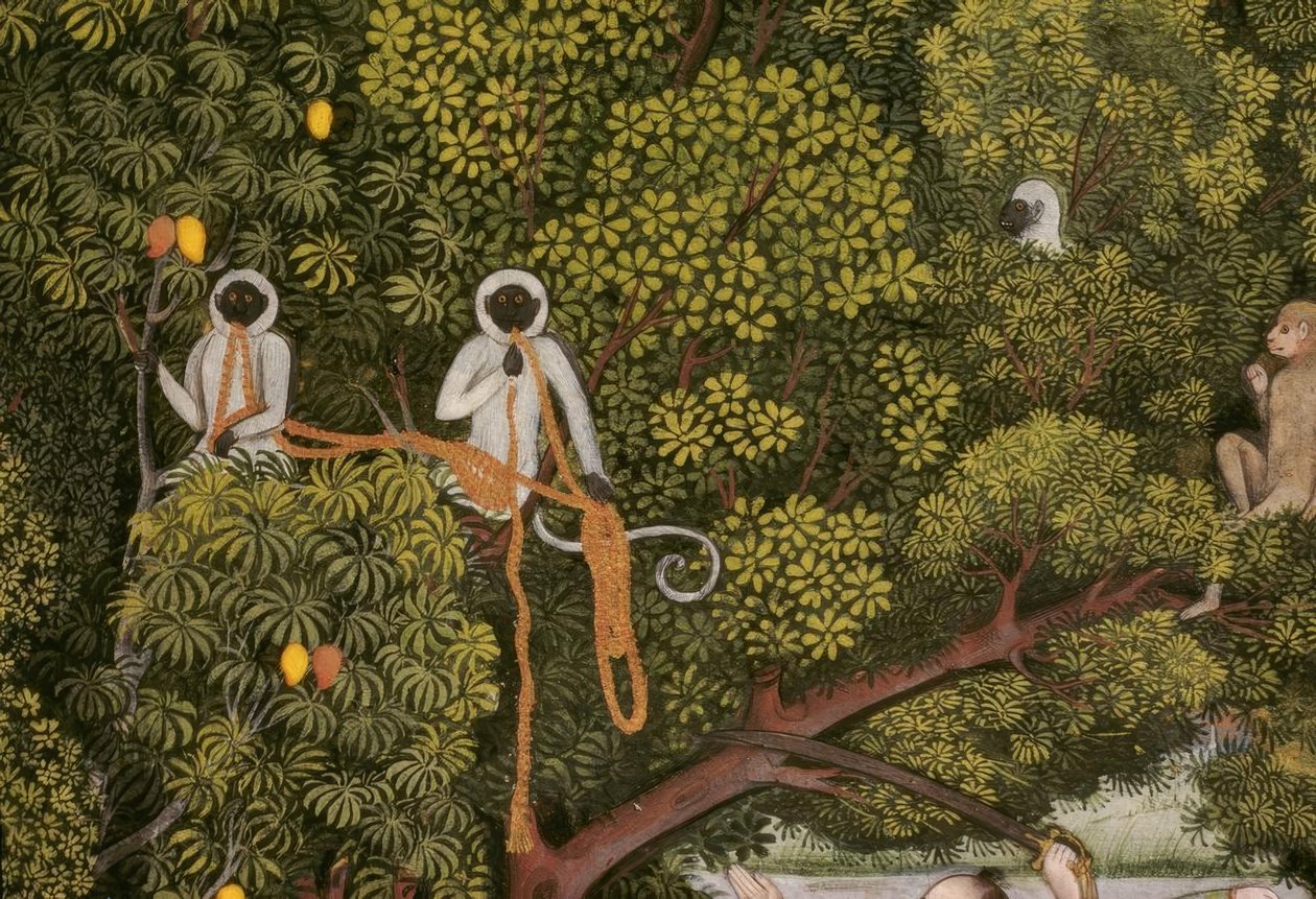 Miniatura Indian Hanuman-Languren autorstwa Unbekannt