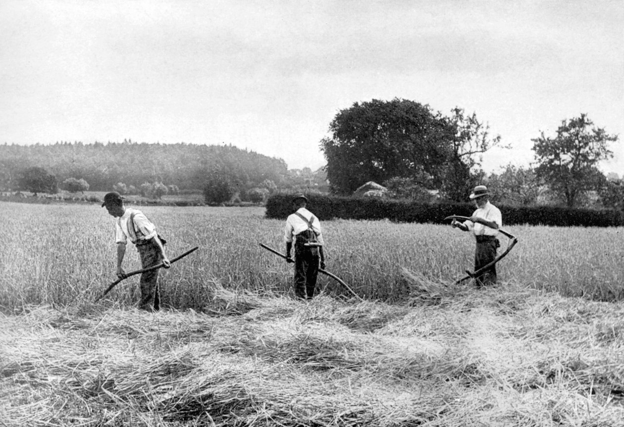 Zbiór siana, 1926 autorstwa Unbekannt