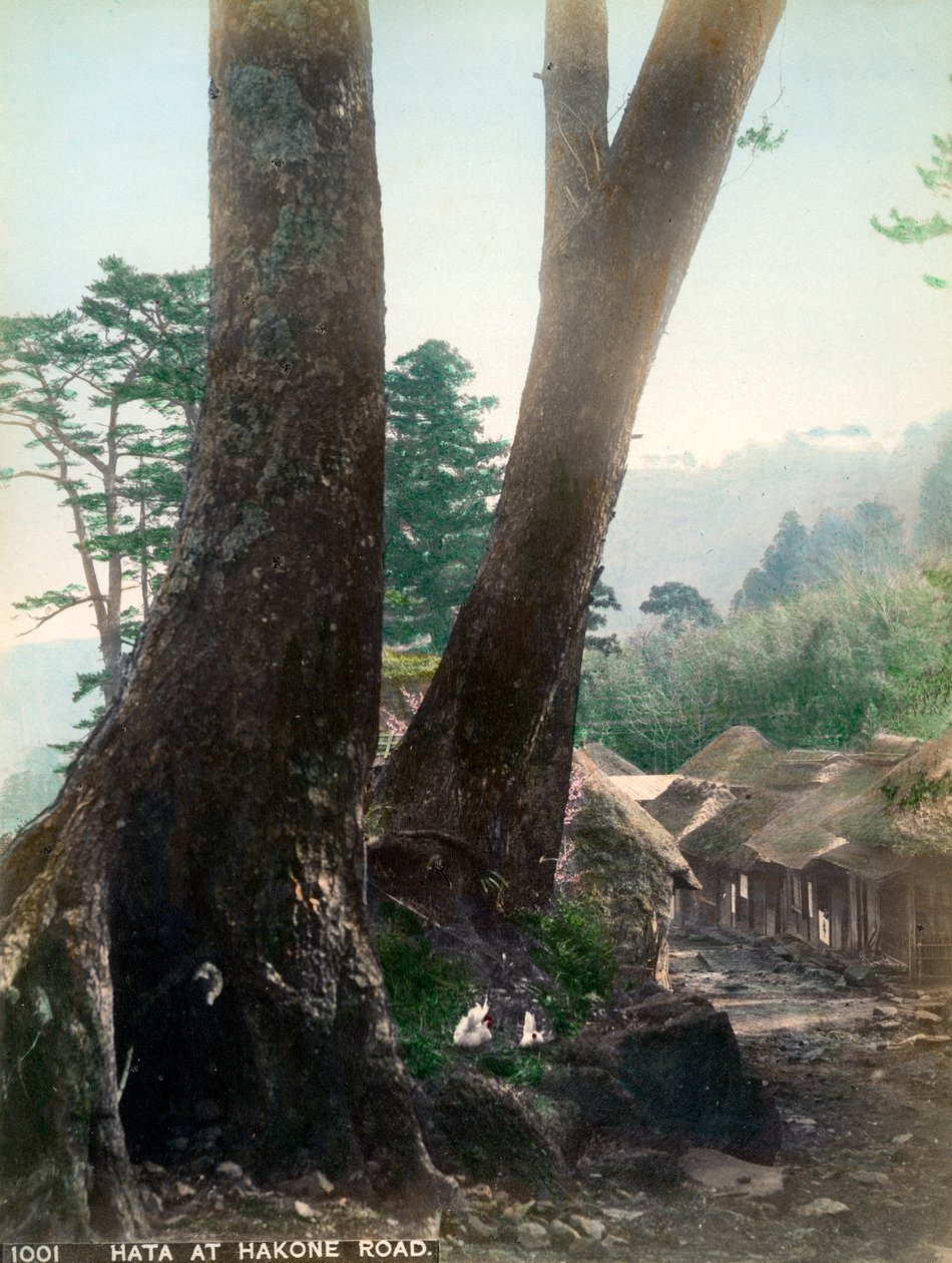 Hata przy Hakone Road, Japonia, początek XX wieku autorstwa Unbekannt