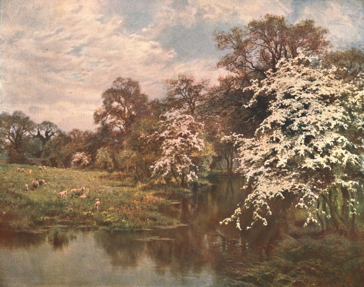 Kwiaty głogu, ok. 1899, ok. 1902. autorstwa Unbekannt