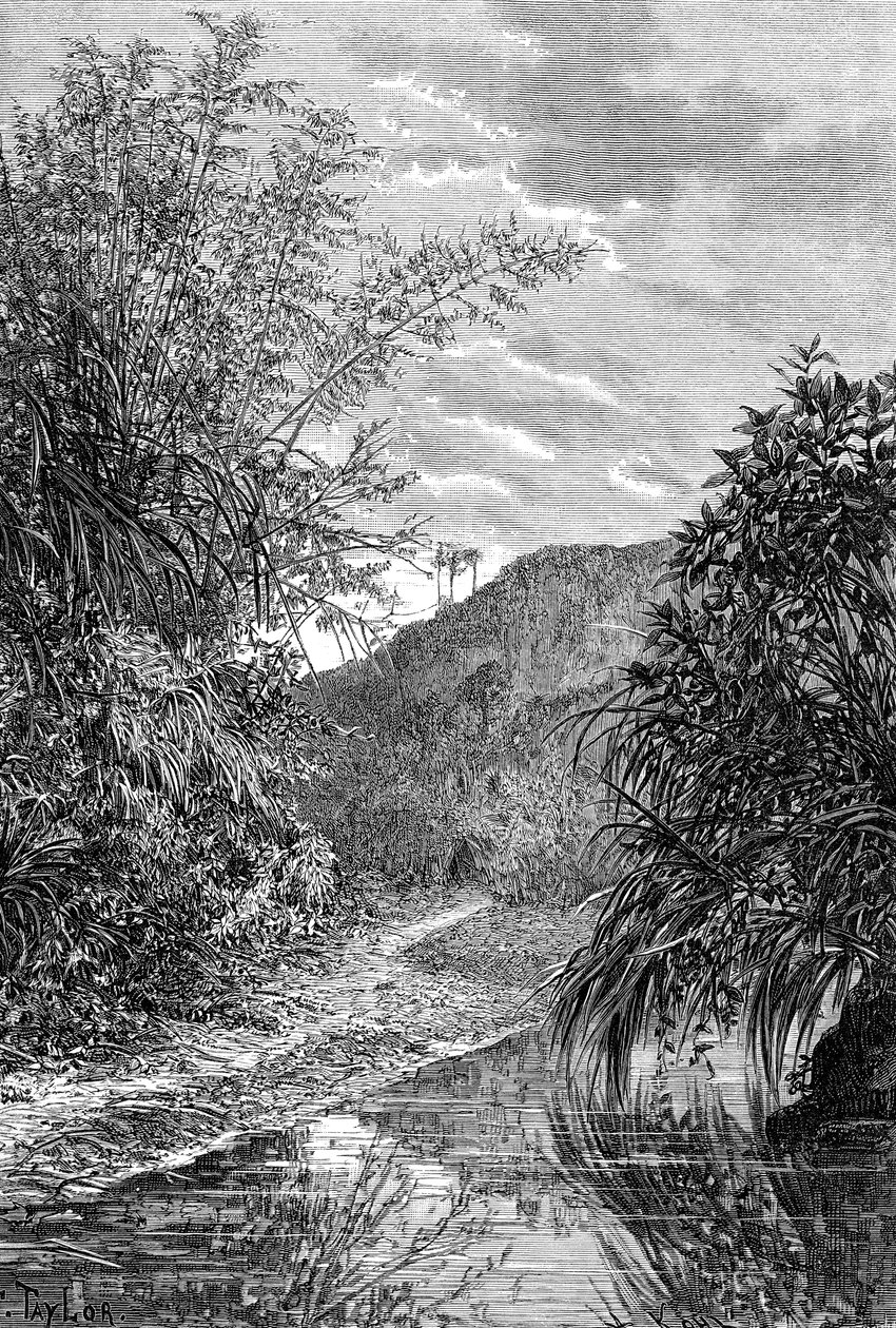 Krajobraz górski, Formoza, c1890 autorstwa Unbekannt