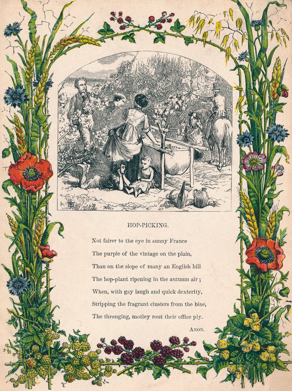 Zbieranie chmielu, ok. 1900 autorstwa Unbekannt