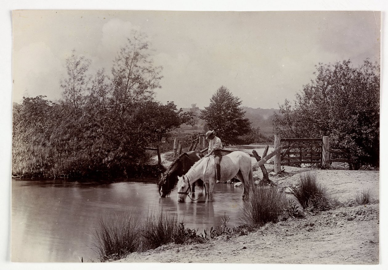 Konie pijące w stawie, wers. 1890 autorstwa Unbekannt