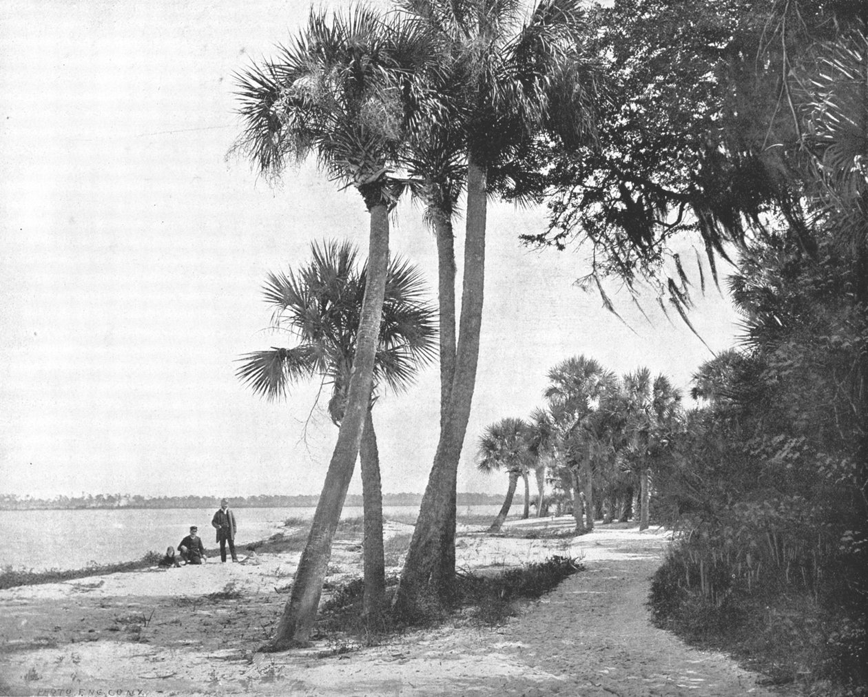 Indian River, Floryda, USA, ok. 1900. autorstwa Unbekannt