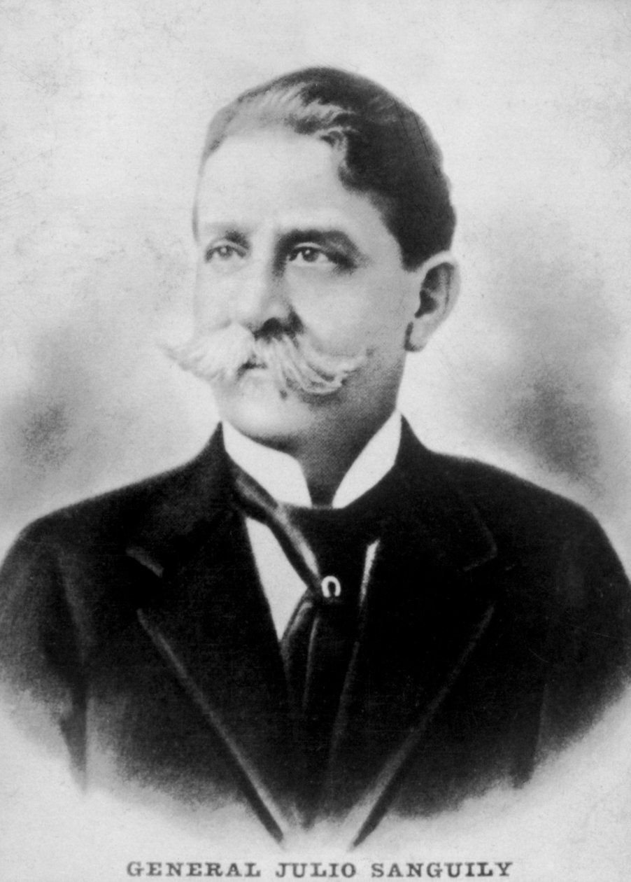 Julius Sanguily, 1846-1906, lata 20. autorstwa Unbekannt