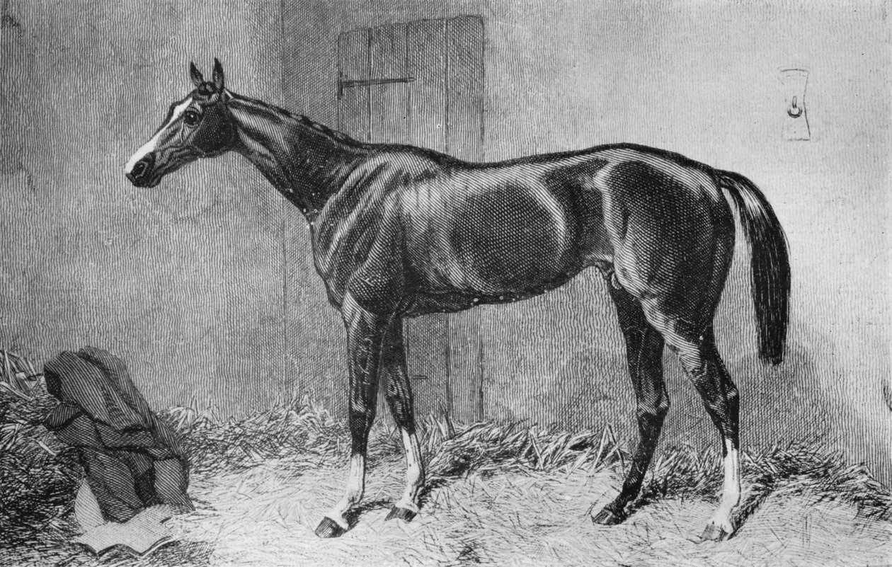 Czajnik, ok. 1860, 1911 autorstwa Unbekannt