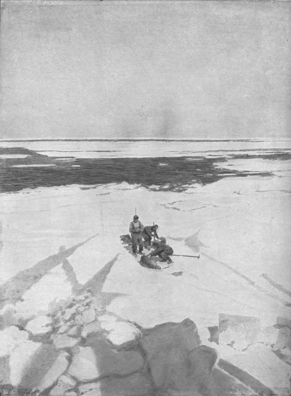 Zabijanie fok, 1911, 1928 autorstwa Unbekannt