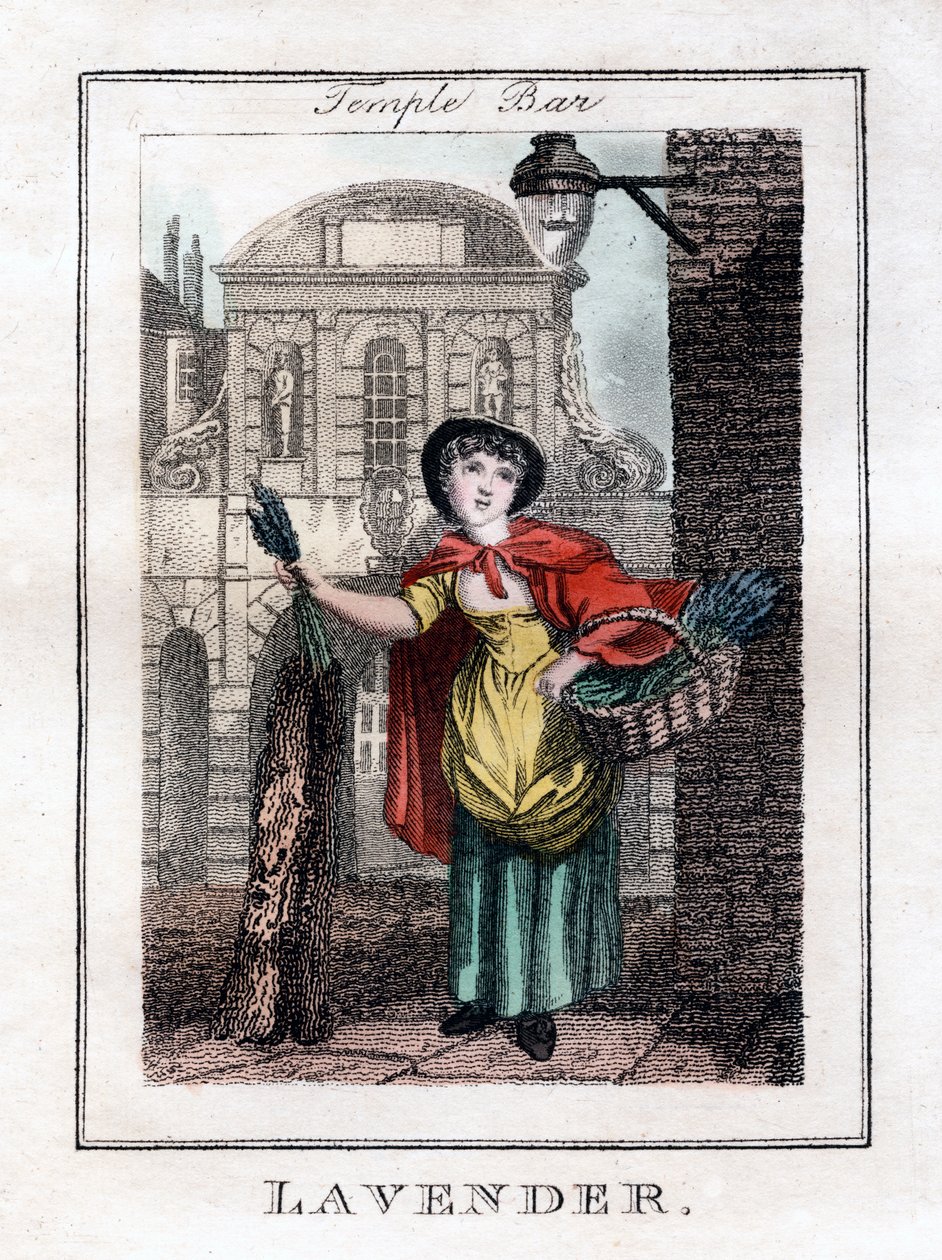 Lawenda, Temple Bar, Londyn, 1805 autorstwa Unbekannt