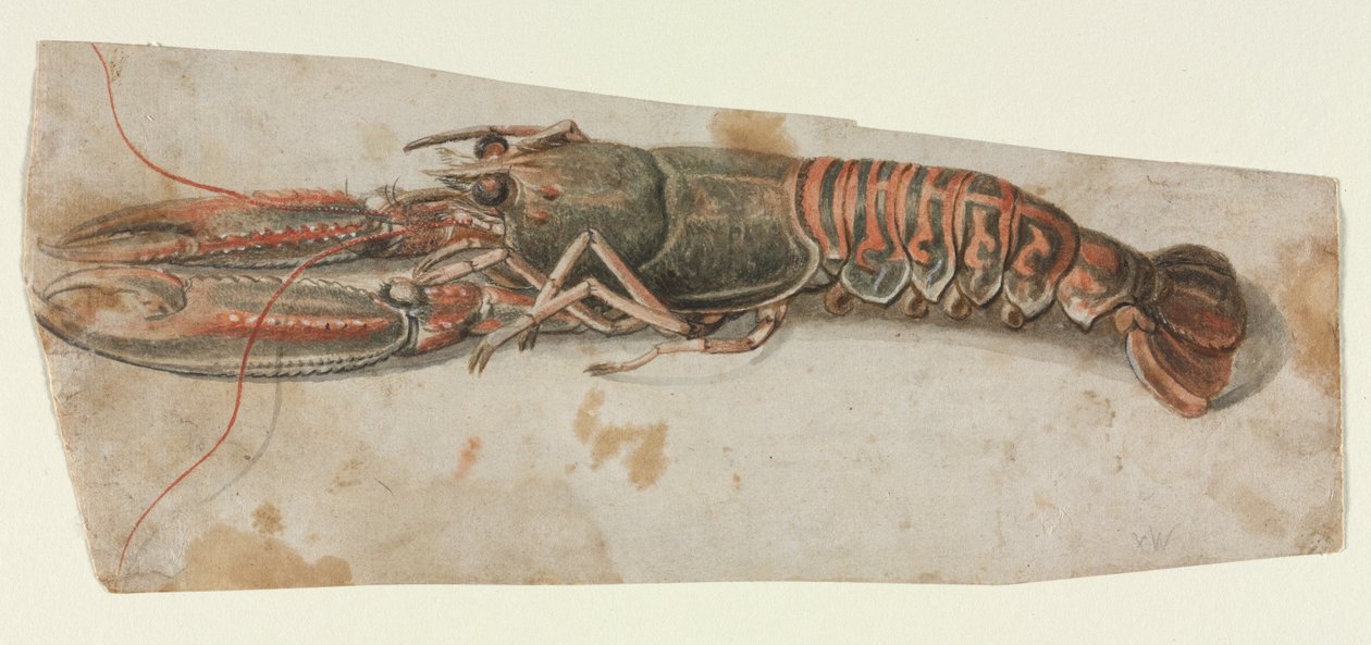 Homar, 1600s. autorstwa Unbekannt