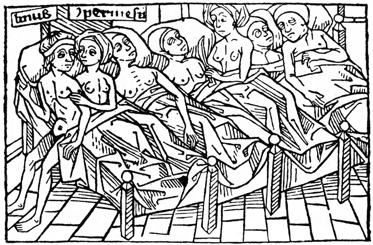 Lynceus i Hypermnestra, 1479 1964. autorstwa Unbekannt