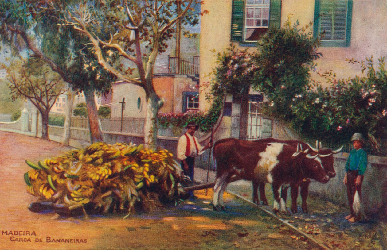 Drewno - Tusza Bananowa, ok. 1940 r. autorstwa Unbekannt