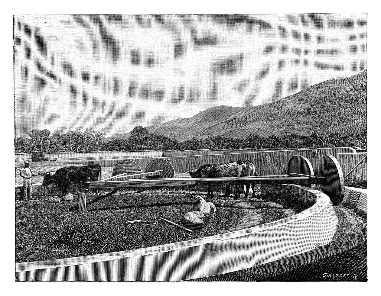 Młynek do łuskania kawy, Ameryka Środkowa, c1890 autorstwa Unbekannt
