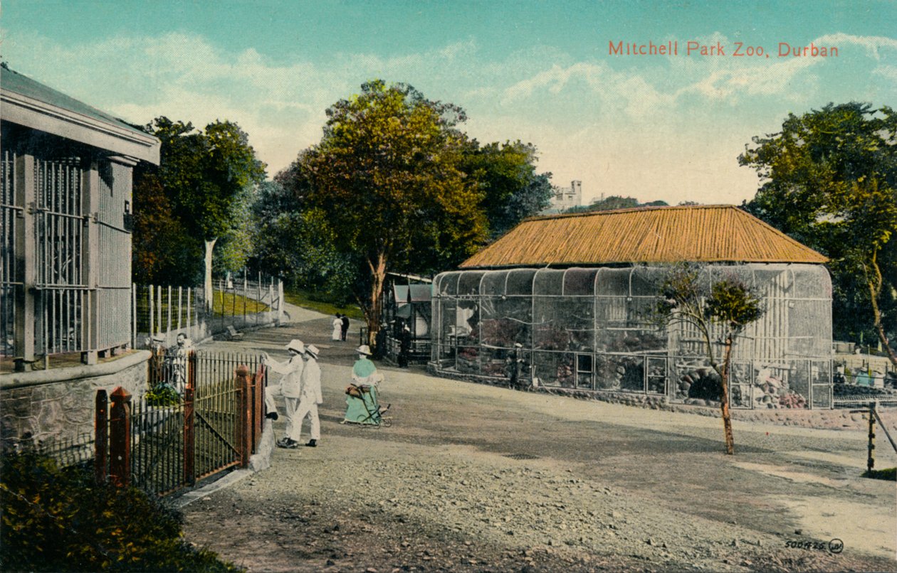 Zoo w parku Mitchell, Durban, ok. 1915 r. autorstwa Unbekannt