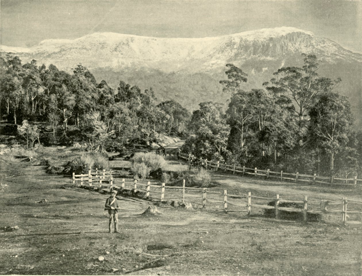 Góra Wellington, od Huon Road, 1901. autorstwa Unbekannt