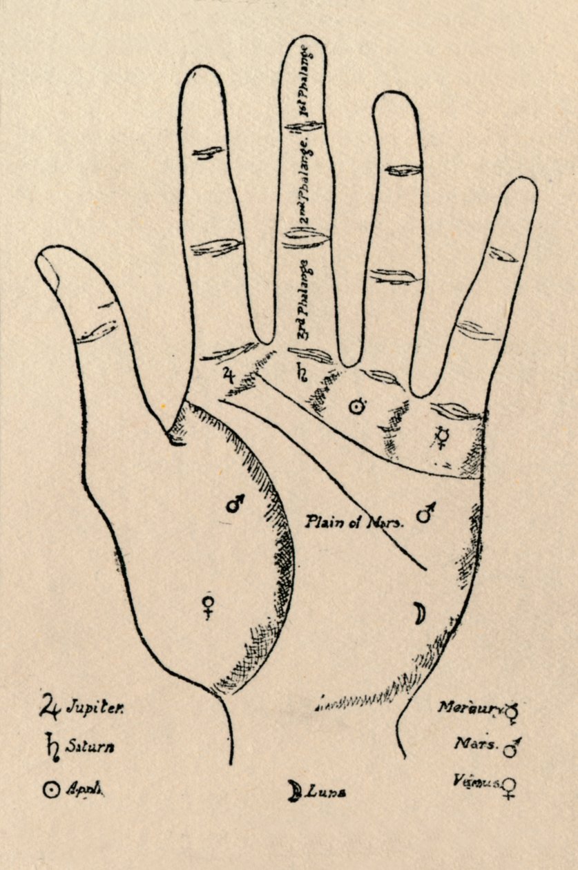 Wierzchowce i paliczki, 1912 autorstwa Unbekannt