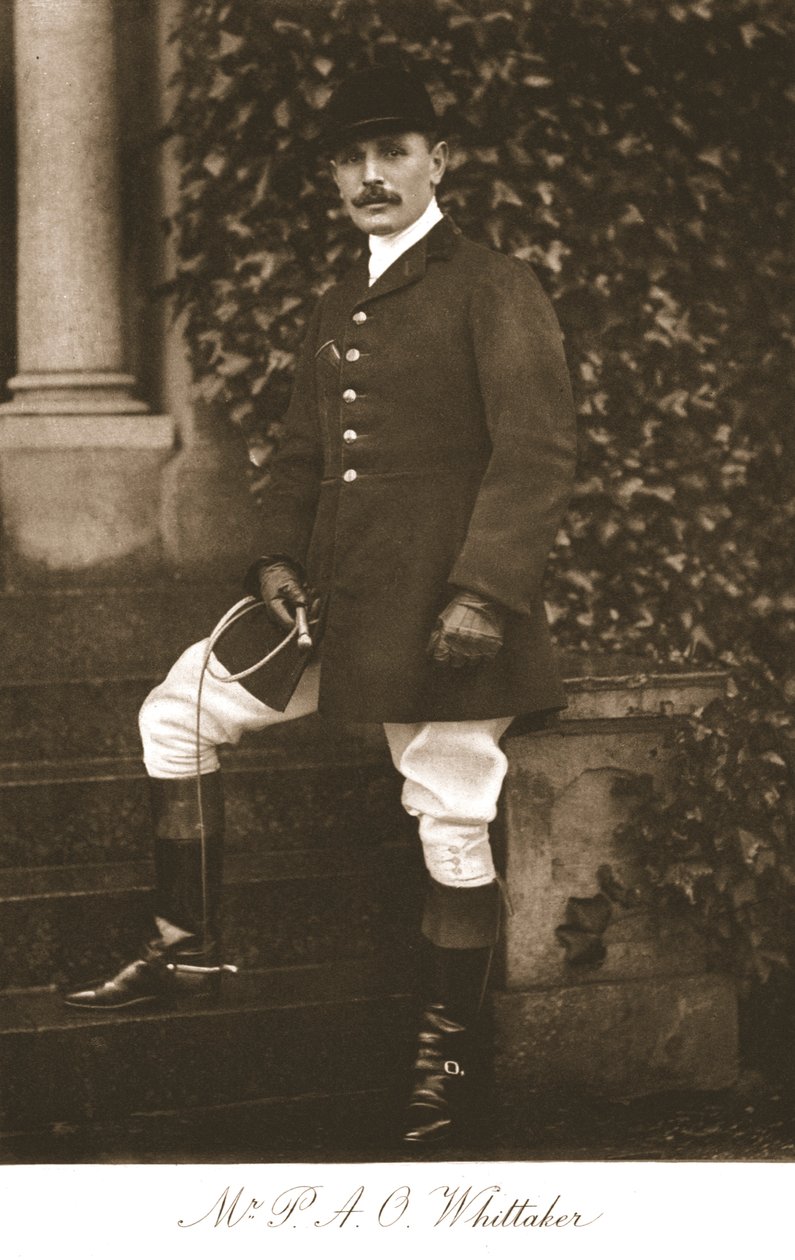 Pan P.A.O. Whittakera, 1911. autorstwa Unbekannt