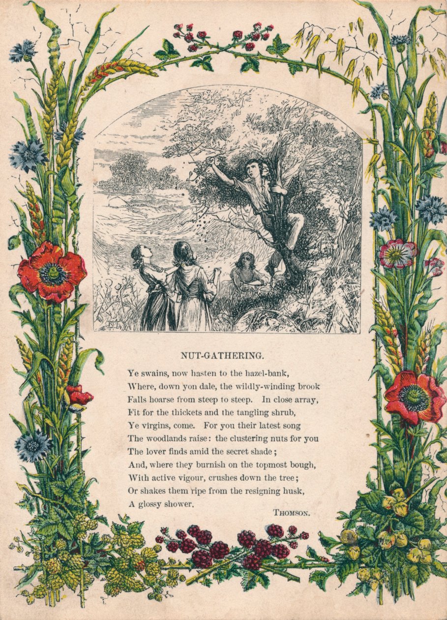 Zbieranie orzechów — Thomson, ok. 1900 r. autorstwa Unbekannt