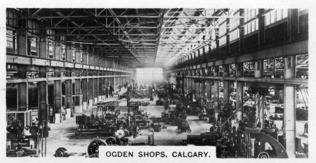 Sklepy Ogden, Calgary, Alberta, Kanada, c1920 autorstwa Unbekannt