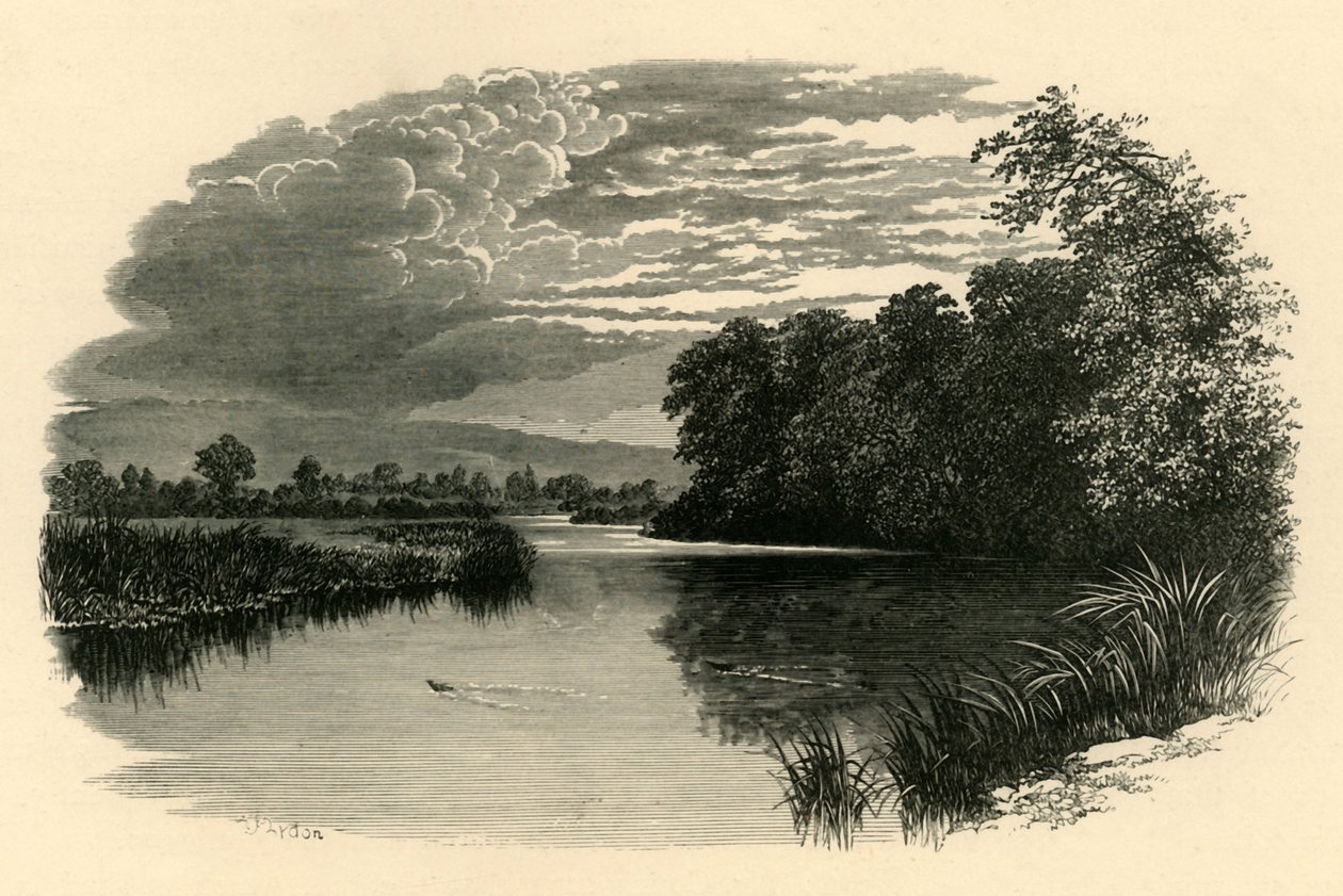 Na Avon. Strensham Reach, c1890. autorstwa Unbekannt