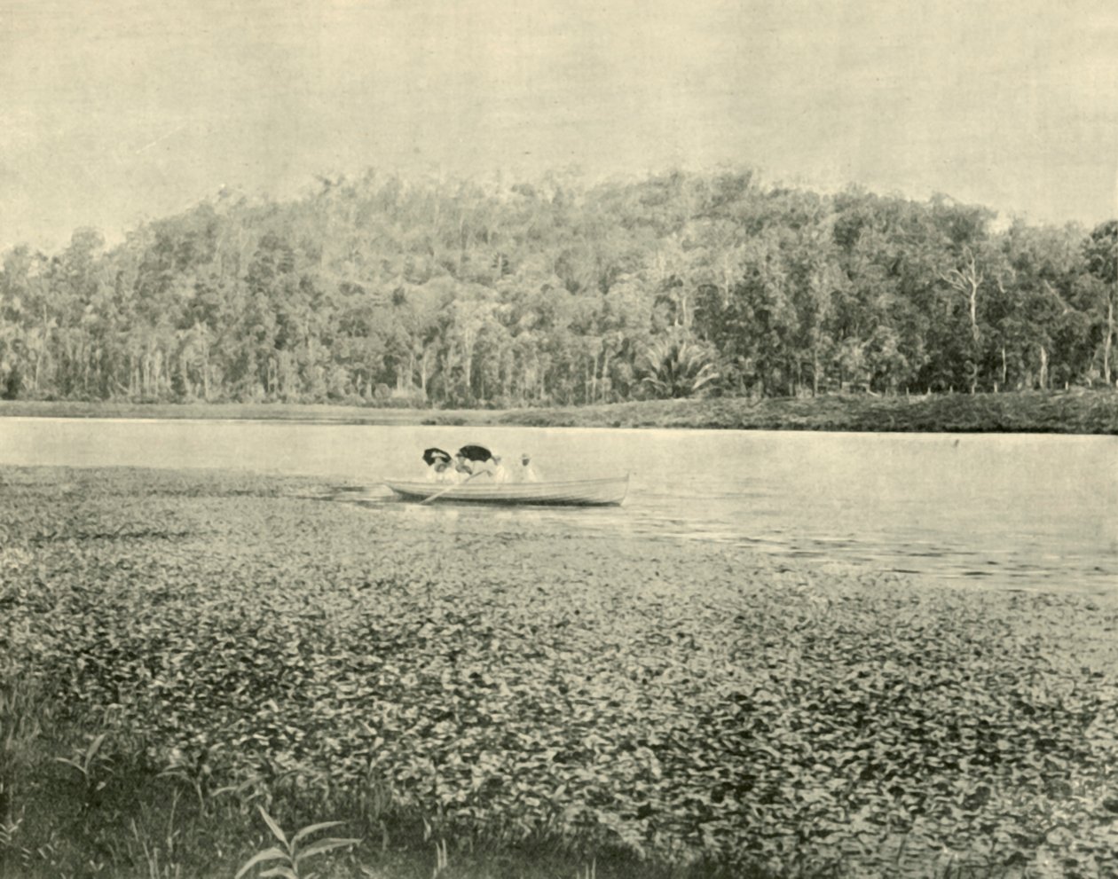 Nad jeziorem Enoggera, 1901. autorstwa Unbekannt