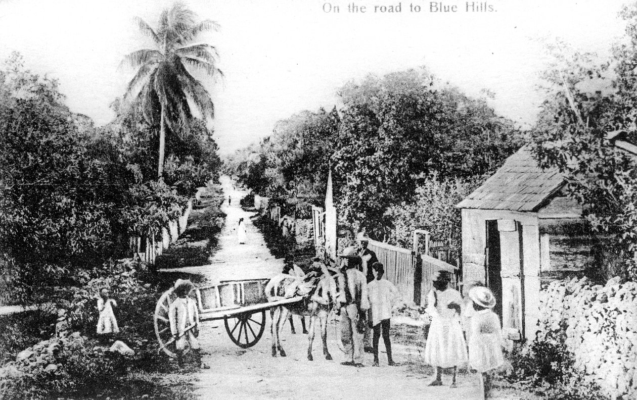 W drodze do Blue Hills, Bahamy, ok. 1900 autorstwa Unbekannt