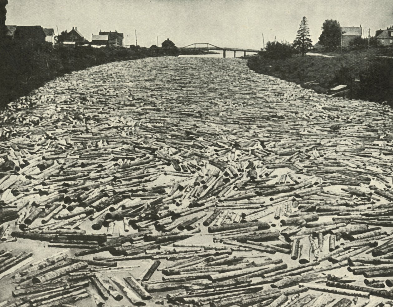 W drodze do tartaków, ok. 1948. autorstwa Unbekannt