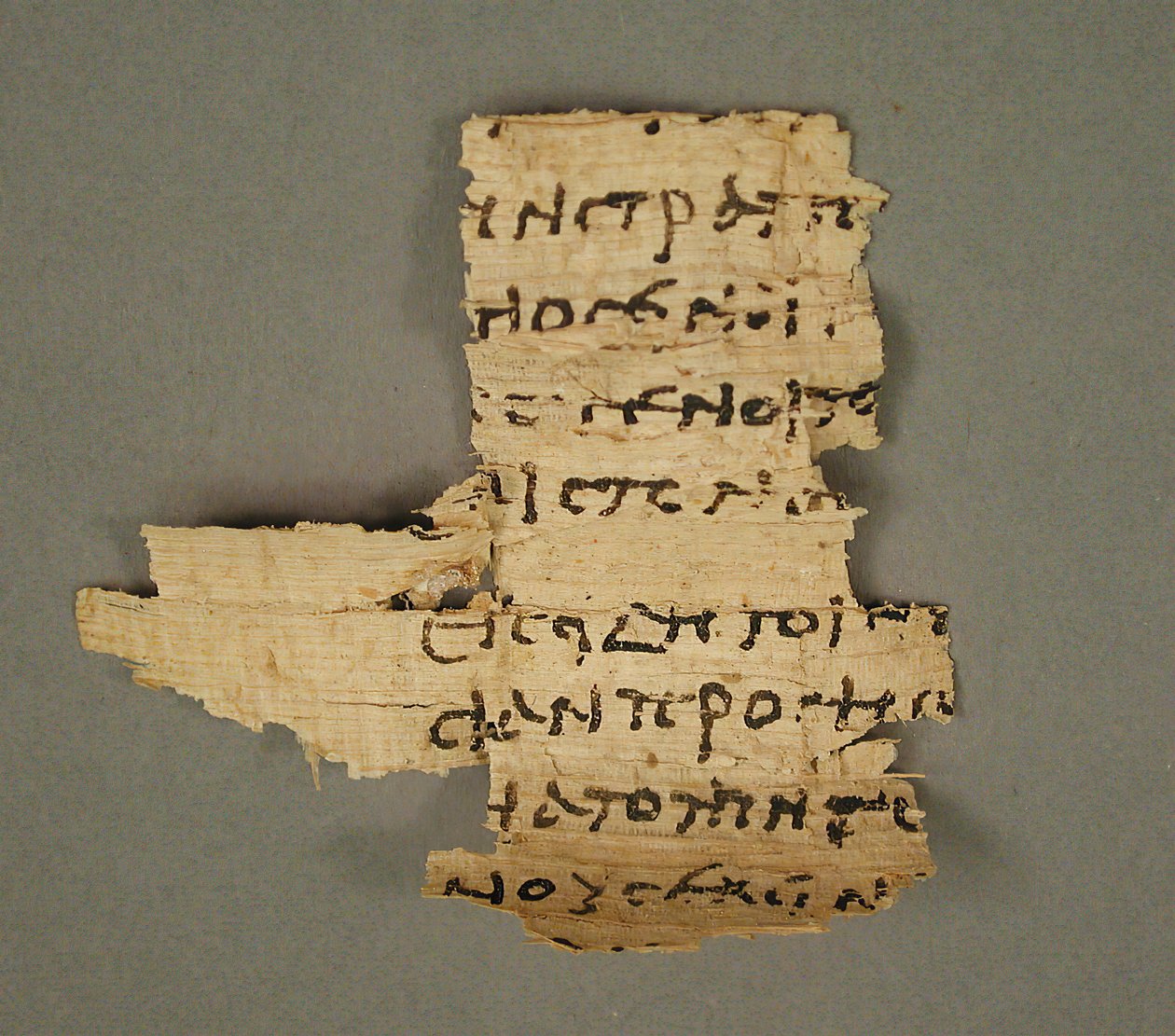 Fragment papirusu, koptyjski, IV-VII w. autorstwa Unbekannt