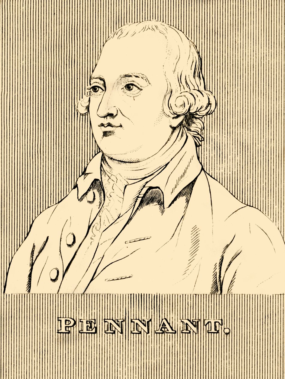 Proporczyk, 1726-1798, 1830. autorstwa Unbekannt