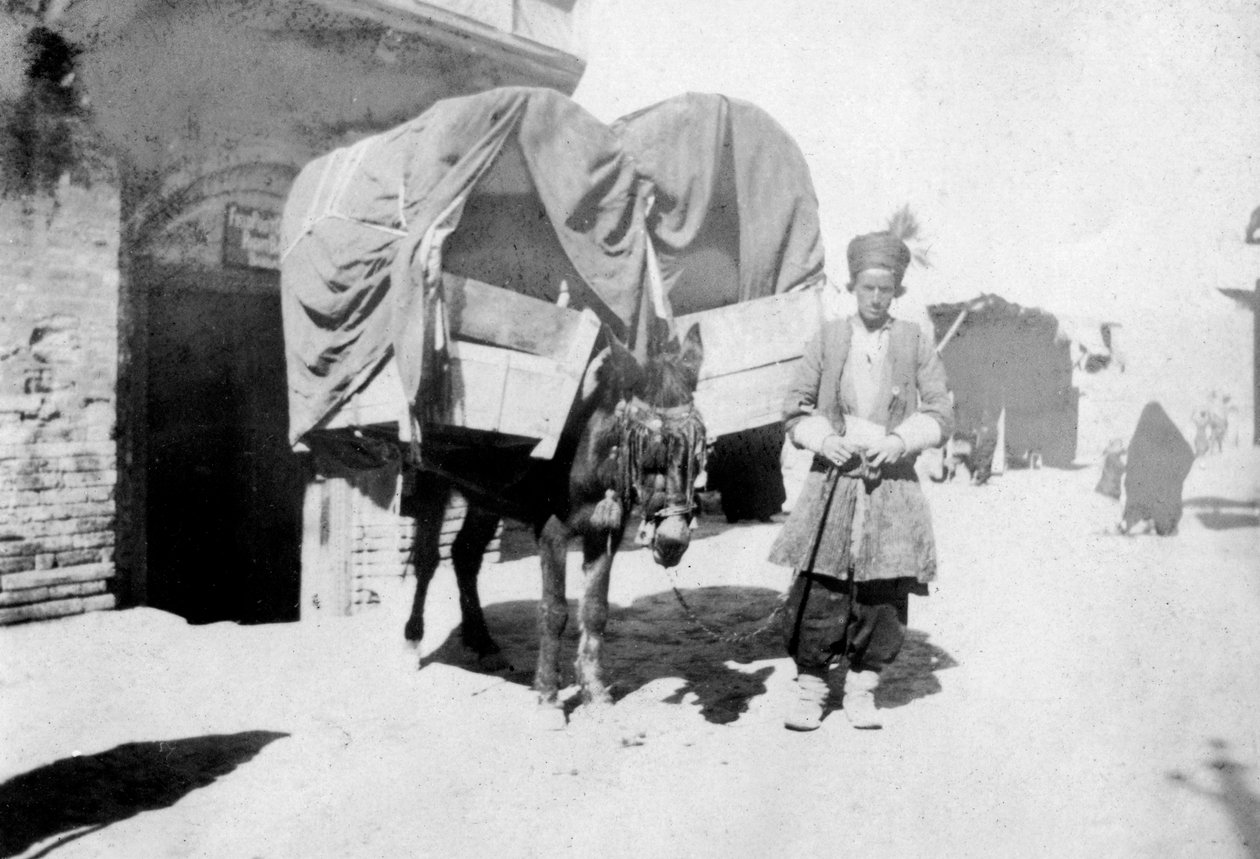 Transport osłów perskich, Bagdad, Irak, 1917-1919 autorstwa Unbekannt