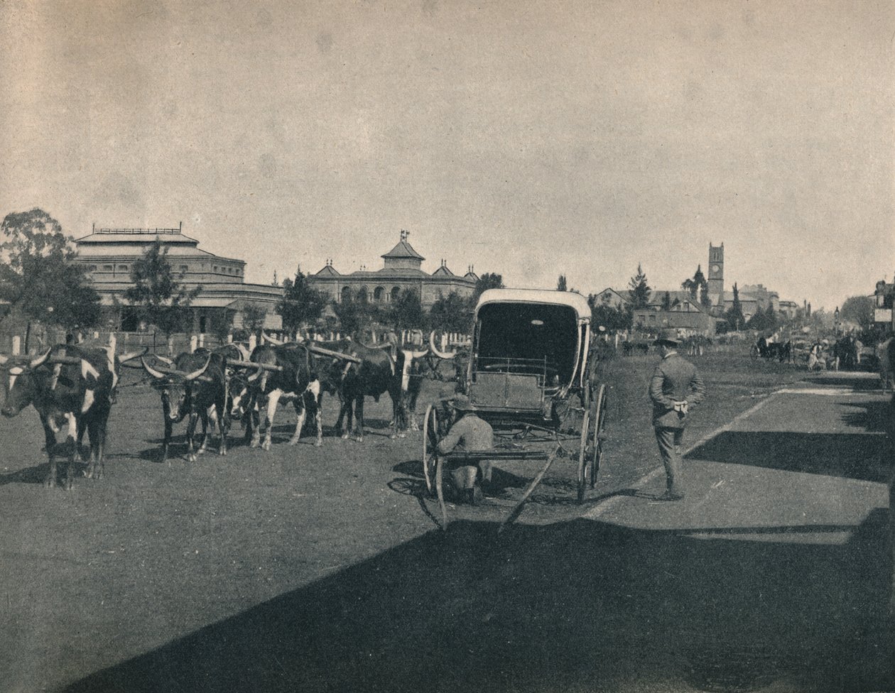 Pietermaritzburg, ok. 1900. autorstwa Unbekannt