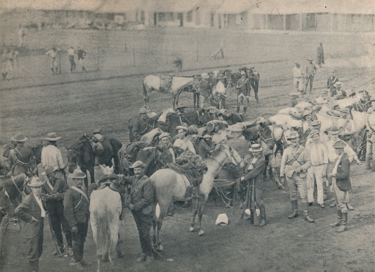 Koń hydraulików, ok. 1900 r. autorstwa Unbekannt