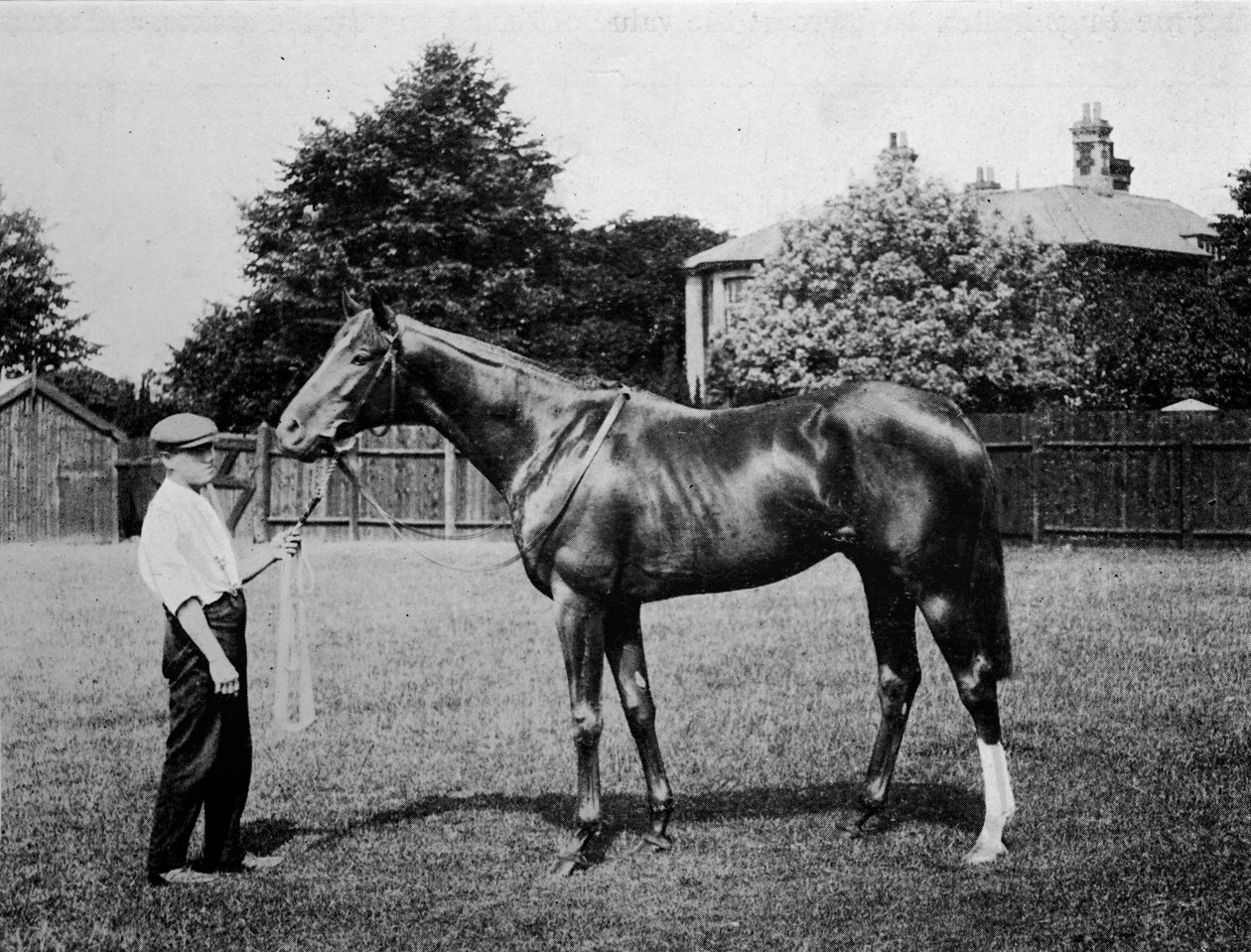 Gwiazda Polarna, 1911 autorstwa Unbekannt