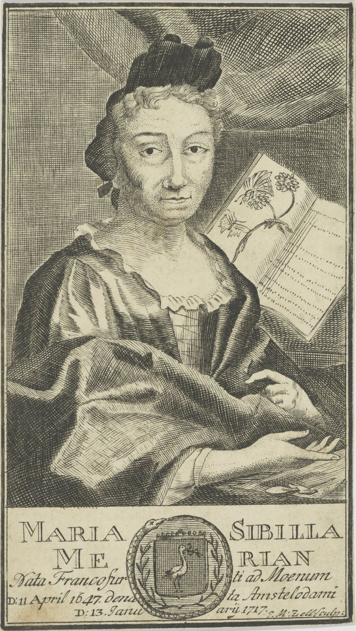 Portret Marii Sibylli Merian 1647-1717, 1755. autorstwa Unbekannt