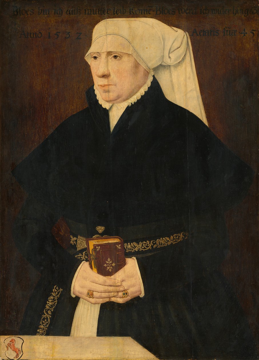 Portret damy, 1532. autorstwa Unbekannt