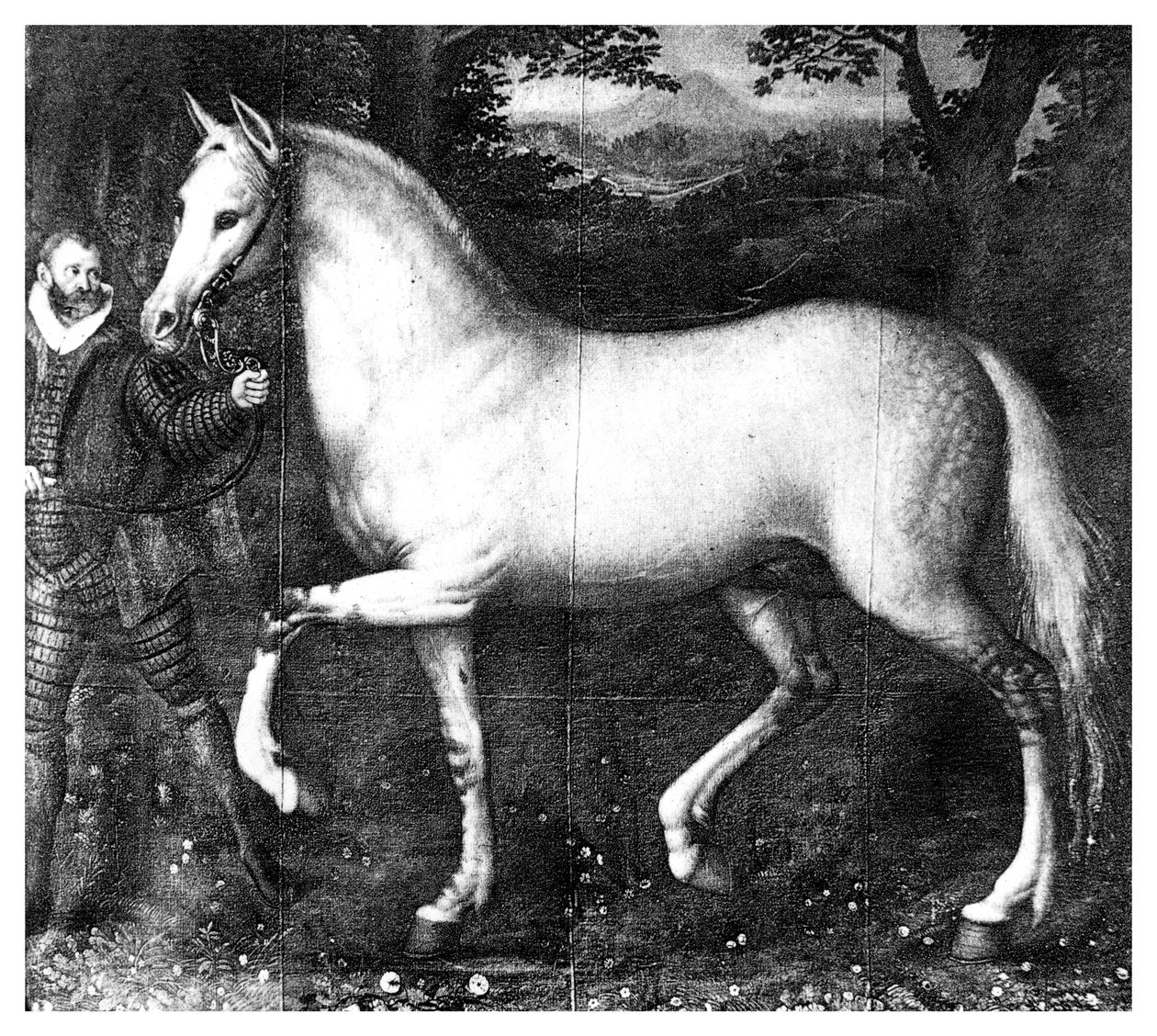 Królowa Elżbieta jest koniem, 1896 autorstwa Unbekannt