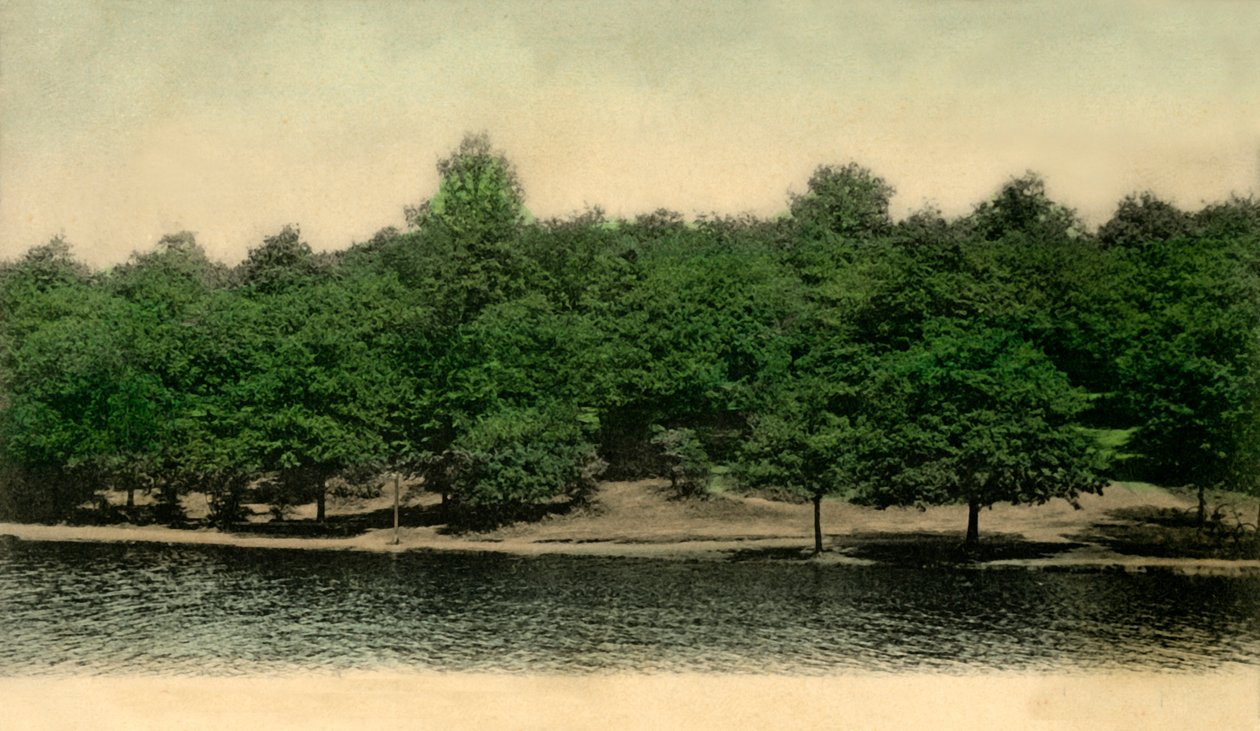 Queensmere, Wimbledon Common, Londyn, 1903. autorstwa Unbekannt